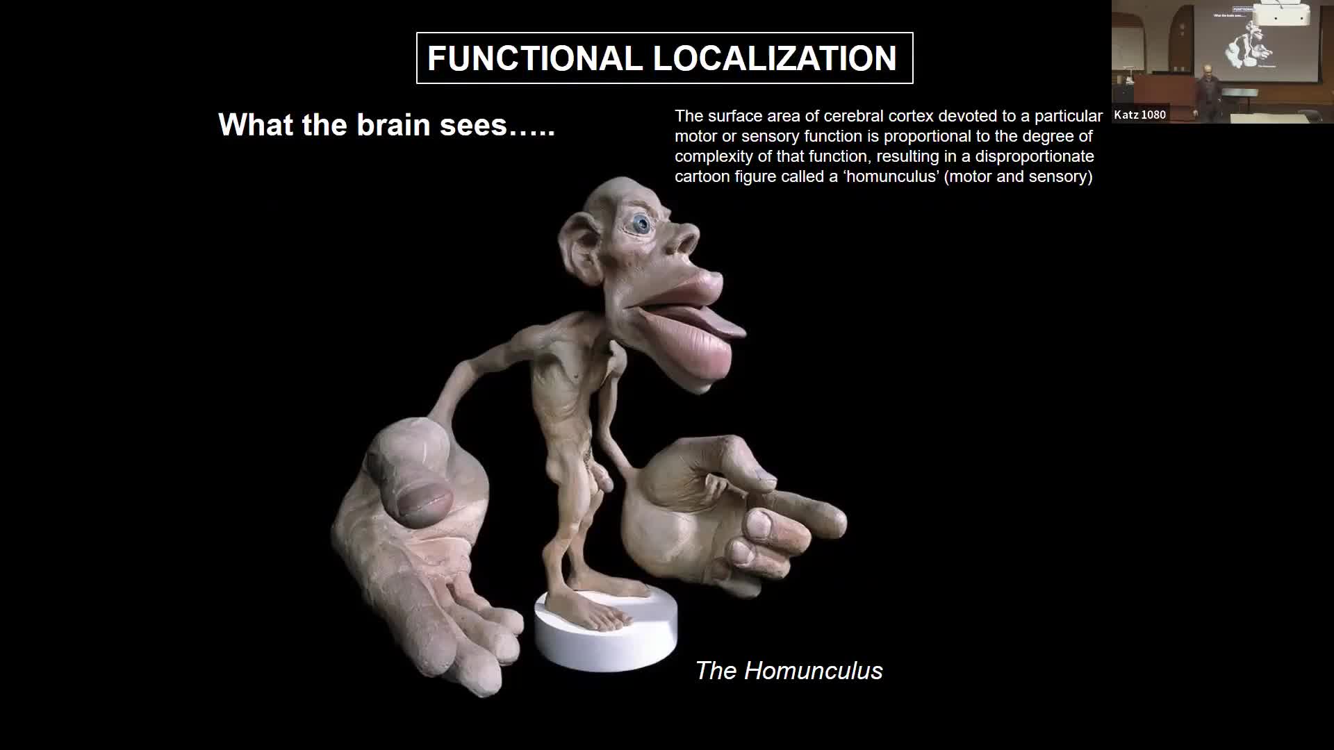 Psychiatry - Functional Localization in the Hemispheres - AIWMU ...